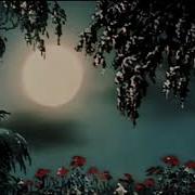 Jacco Gardner Somniun