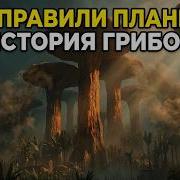 Грибок Грибы