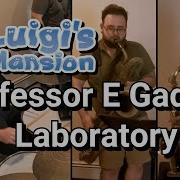 E Gadd Lab Theme Cover