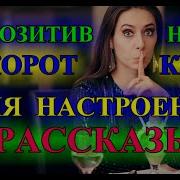 Смешные Рассказы Из Жизни