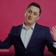 Болажоним Кушик
