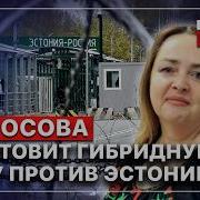 Курносова Ольга Последнее