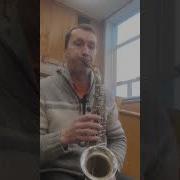 Наш Сосед Минус Саксофон