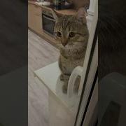 Сомкнул Лудшее