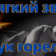 Шум Бойлерной