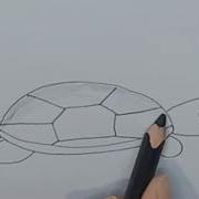 Нарисованная Простенькая Черепашка