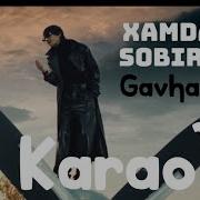 Xamdam Gavxarim Minus