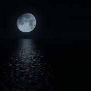 ჰარი ჰარალო