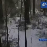 Из Окопа Вылезла Катюша