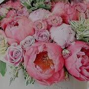 С Днём Рождения Любимая Тетя От Племянницы