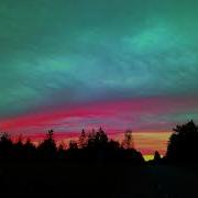 Гр Форум Нелепостьал Кавер