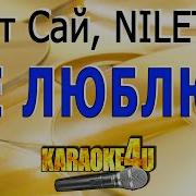 А Нет Сай Niletto Минус
