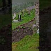 Каримулла Гусейнов