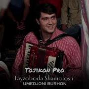 Файзобода Шамолош