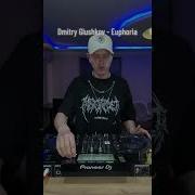 Dmitry Gkushkov Euphoria