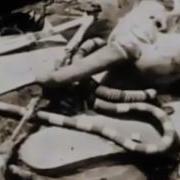 Документальные Проекты Рен Тв