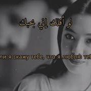 Если Я Скажу Что Люблю Тебя Арабская Песня Поёт Женщина