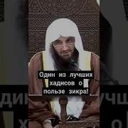 Красивые Зикар