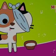 Кошка Беспородная