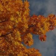 Минусовка Сапраудны Бедарус