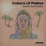 Dave Suntaal Colors Of Palms