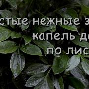 Звуки Дождя