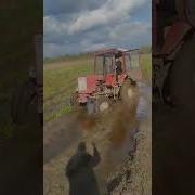 Встрял По Самые Уши