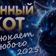Лунный Кот Песня Для Сна