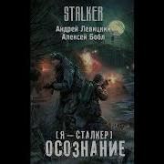 Я Сталкер Осознание