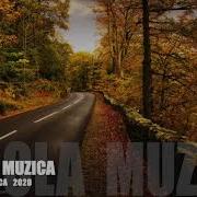 Batuta Moldoveneasca