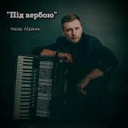 Назар Абрамик Acordion