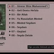 Muhammed Ali Arslan Seydam