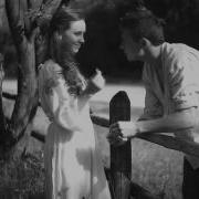 Сила Птаха На Тополю