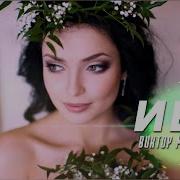 Ива Зелёная Ива