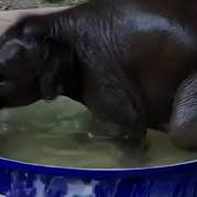 Закрой Ебало Уже