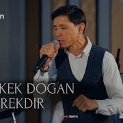 Erkek Dogan Gerekdir