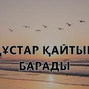 Кустар Кайтып Барады Кавер
