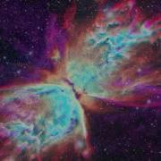 Rameses B Butterfly