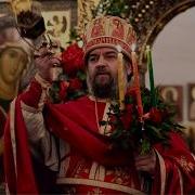 Андрей Ткачёв
