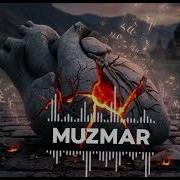 Muzmer Զով Գիշեր