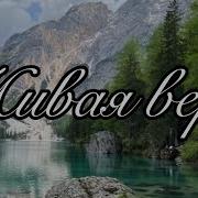 Живая Вера Песня