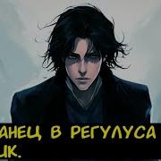 Поттер Попаданец