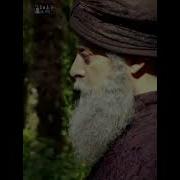 Muhtasham Sulton Sherlari