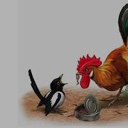 Скребицкий Сиротка