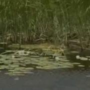 Ойылым Менің Ойдағы Елім