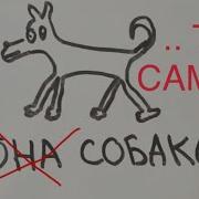 Она Собака Она Погибла