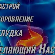 Сытин Желудок Настрой