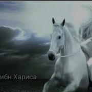 Зайд Ибн Хориса