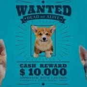 Королевский Корги Песня