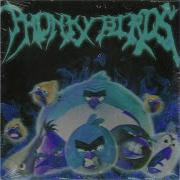 Phonky Birds